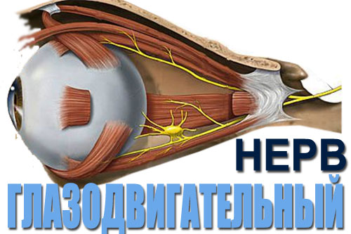 остео-коррекция зрения - массаж глазодвигательного нерва в кабинете ТиП и ТаБ в Геленджике
